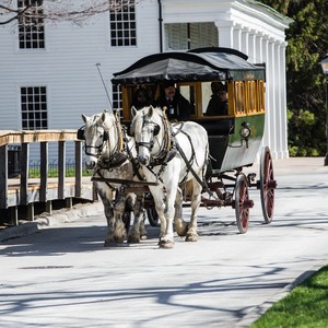 carriage%20ride%20passes%20eagle%20tavern%20inside%20greenfield%20village-300?v=4