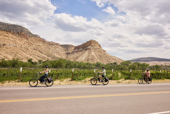Cycling the Fruit and Wine Byway