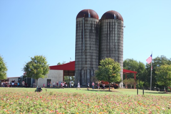 Southern Belle Farm is a family-owned agritourism venue. 