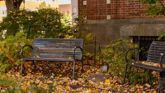 Featured image for Fall in Fayetteville