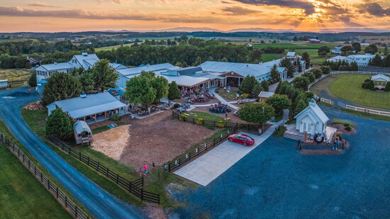Stable Craft Brewing. Photo Credit: Nikki Nargi