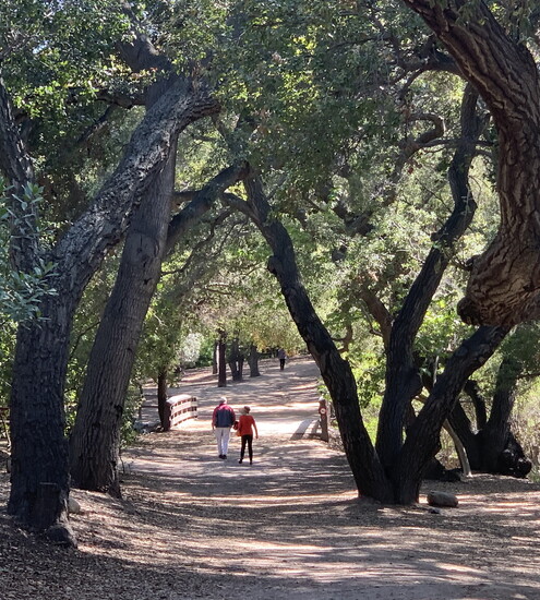 Oak Canyon Nature Center