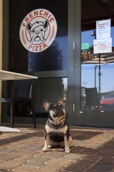 Frenchie of the Month at Frenchie Pizza