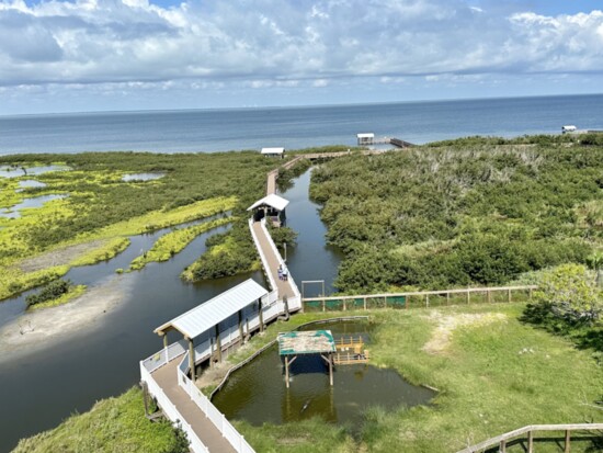 Birding, Nature Center & Alligator Sanctuary