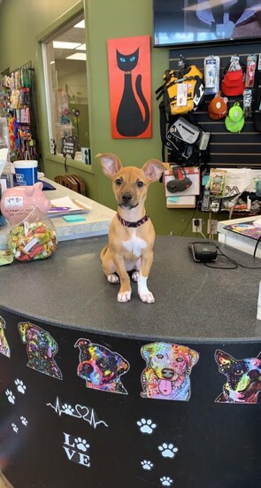 Earthwise Jonesville Greeter