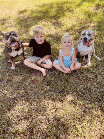 Spray Net Family