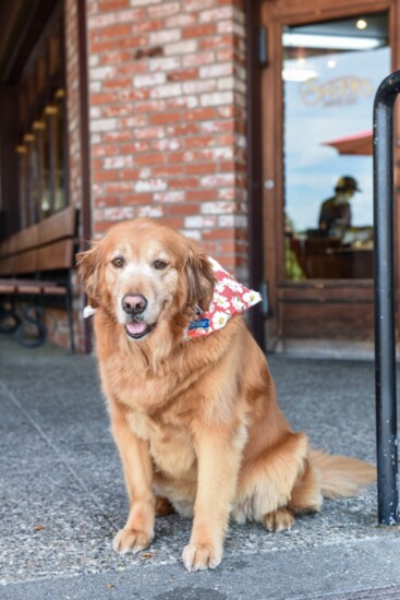 Ruby - Ruby's Bookstore