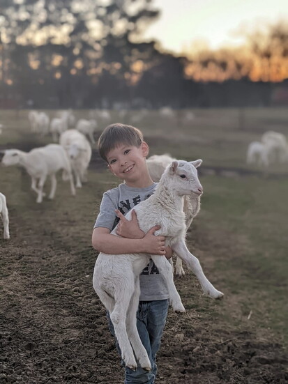 August Chance holds a lamb on the family's farm in Baileyton