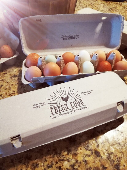 Farm-fresh eggs can we used in a variety of Thanksgiving dishes.
