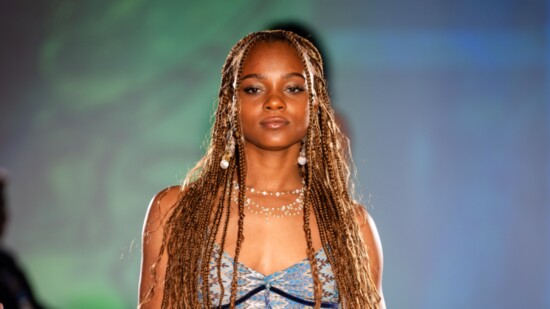 CSA Creations by Chloe Almeida