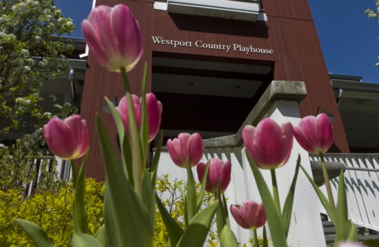 Tickets to Westport Playhouse - WestportPlayhouse.org (Photo: Kathleen O'Rourke)