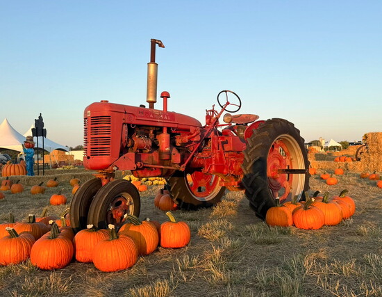 Texas Pumpkin Fest/Leander Chamber of Commerce