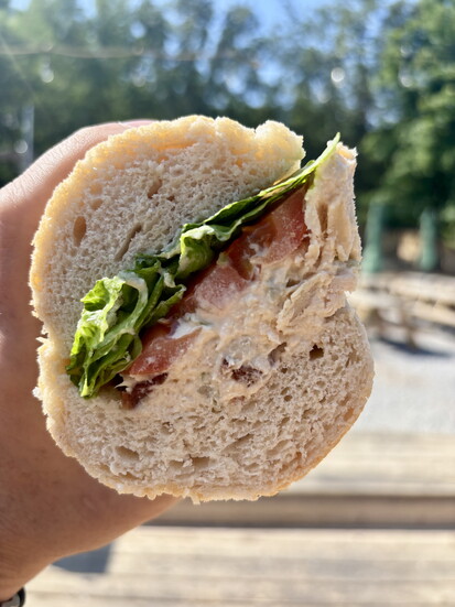 Hillside Hangout's Rotisserie Chicken Salad