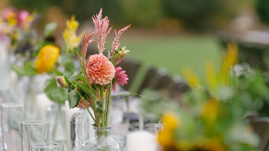 Photo by Kelsey Jean Photography