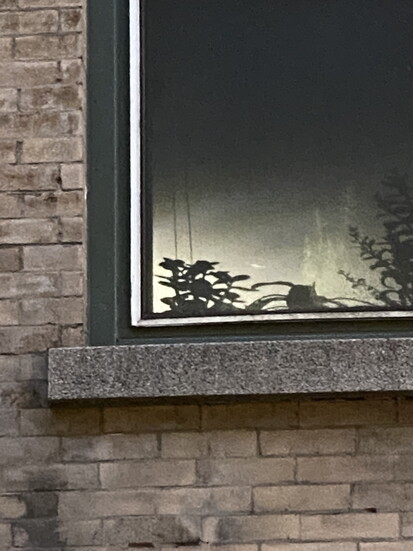 Photo 5 of 12