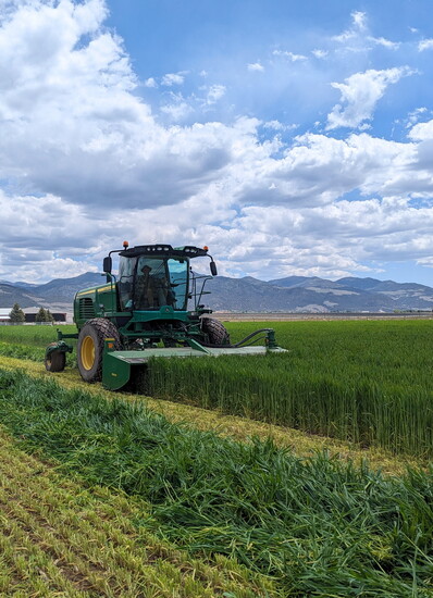 MSC grows their own cattle feed on their farm in Parowan.