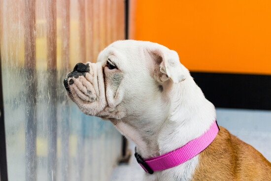 One of the infrequent examples of when people welcome wrinkles! Isn't she adorable?