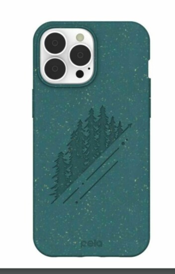 Green Summit iPhone 13 Pro Max Case | 41