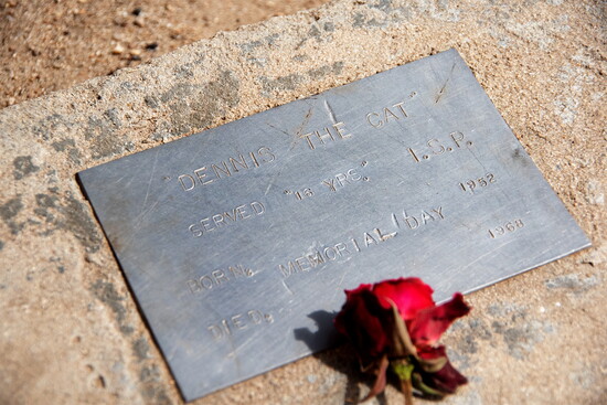 Dennis the Cat's grave is the only marked grave in the walls of the Old Idaho Penitentiary.