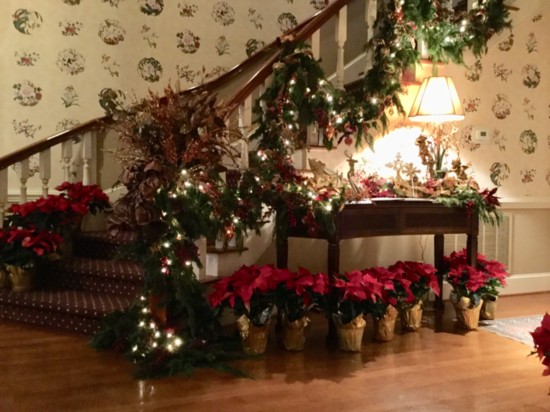 Poinsettia and garland