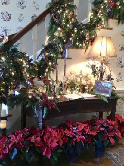 Poinsettia and garland