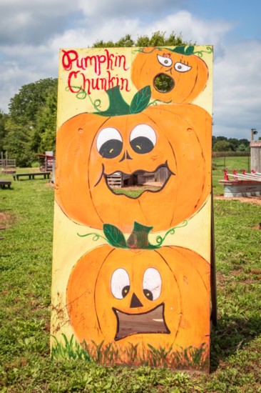 Games such as Pumpkin Chunkin abound at Fiddle Dee Farms.