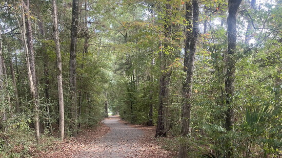 Meander along one of The Woodlands’ many trails and admire the fallen leaves scattered along the path.
