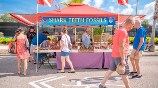 Select your favorite shark's tooth at Venice Farmers' Market.