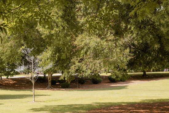Photo 5 of 17