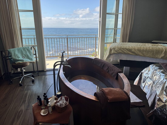 Terranea spa view