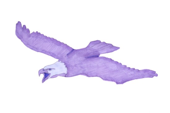 Kenzie's beautiful purple bird.