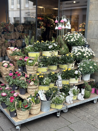 Flowers everywhere