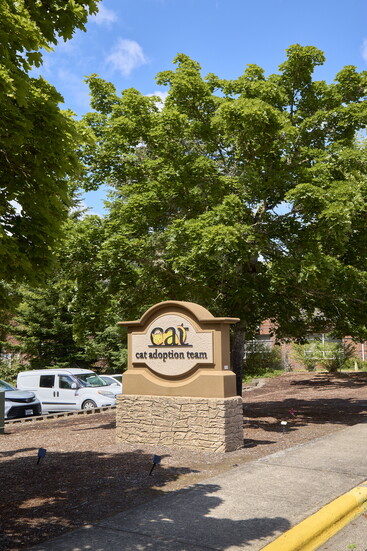 Cat Adoption Team 