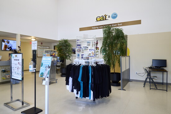 The lobby of CAT