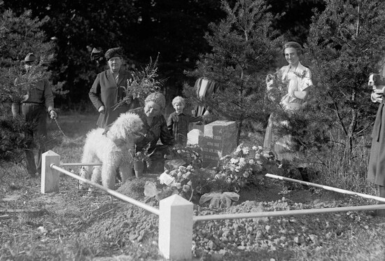 Selma Snook buries her Spanish poodle, Buster, at Aspin Hill Cemetery, 1921.