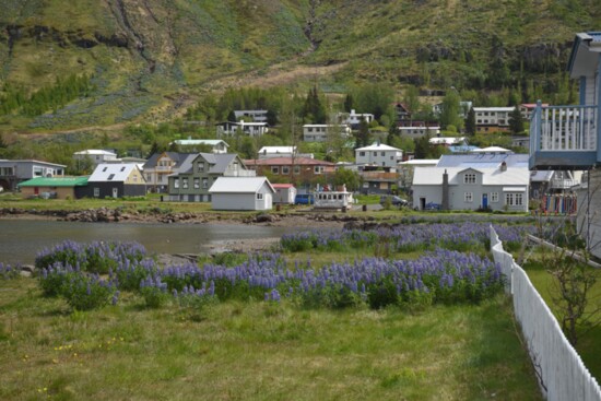 A massive avalanche devastated many of Seydisfjodur’s old wooden buildings in 2020, but the town has bounced back.