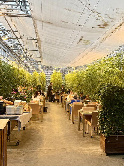 Matesdill - Tomato Restaurant 