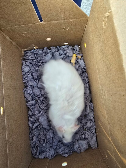 Photo 1 of 4
