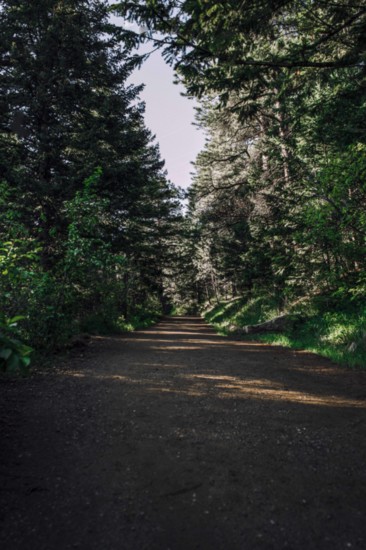 Mesa Trail