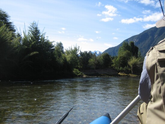 Fly fishing on the Rio Picacho, nestled in the Andes Mountains of Patagonia, Chile