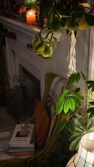 Photo 5 of 6