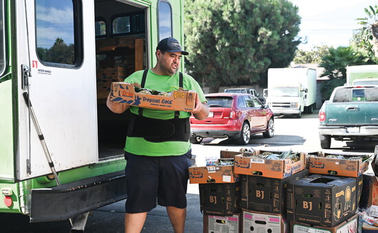 A volunteer loads boxes of pineapples into a truck.