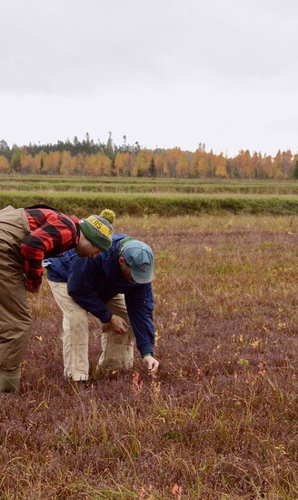 John Stauner, owner of James Lake Farms, sharing cranberry growth insights.