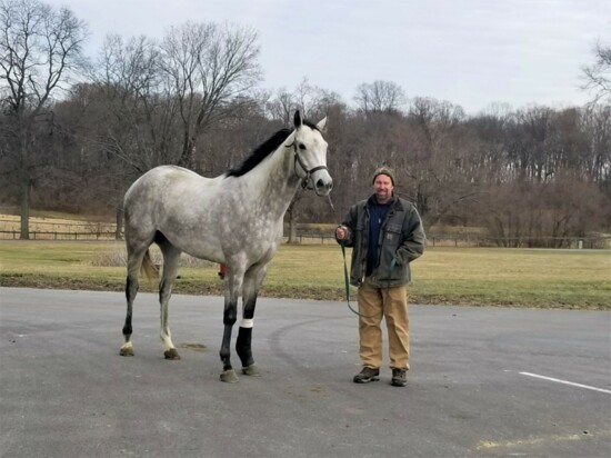 Charlie Lyman at New Bolton Center equine hospital with a horse in need of rehabilitation.