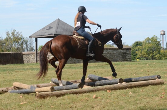 Nina Lyman at the 2017 Retired Racehorse Project Thoroughbred Makeover in Lexington, Kentucky. 