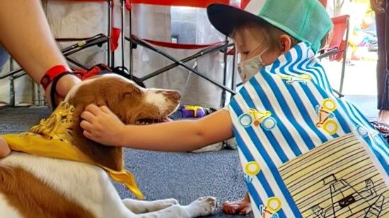 Petting Haze. PC: Shasta Ockerberg