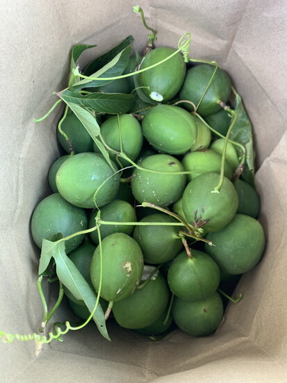 Foraged fruit. Photo Credit: Micah LeMon