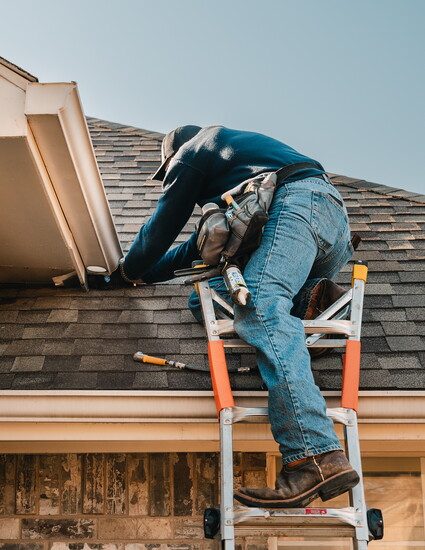 Precision detail because no gap is too small for pests.