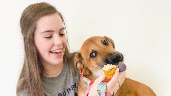 Natalie Payton, 17, feeds a foster puppy a dog-friendly cupcake she baked. Photo credit: Puppy Haven Rescue.