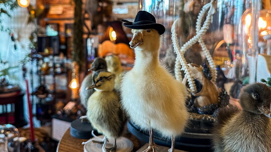 This mercantile is all that it is "quacked" up to be